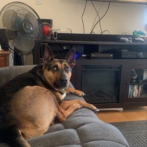 Meet your Posher, Misty